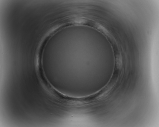 X0000088200726200705292032