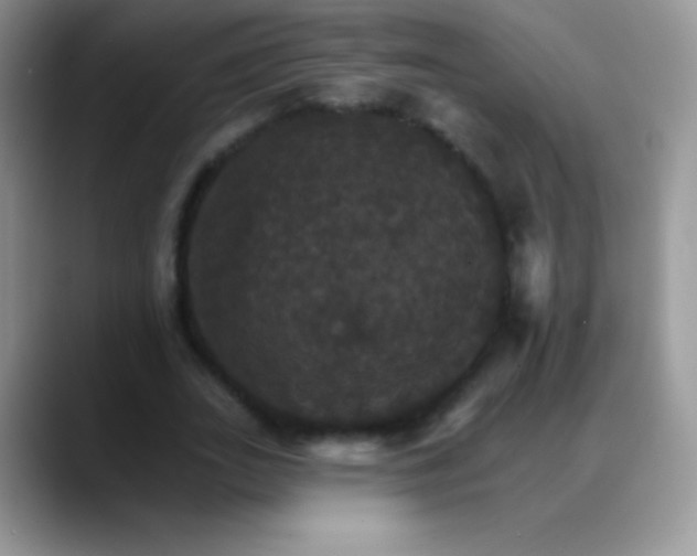 X0000088200727200705292032