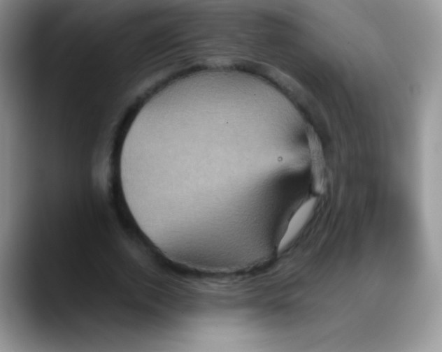 X0000088200728200705292032