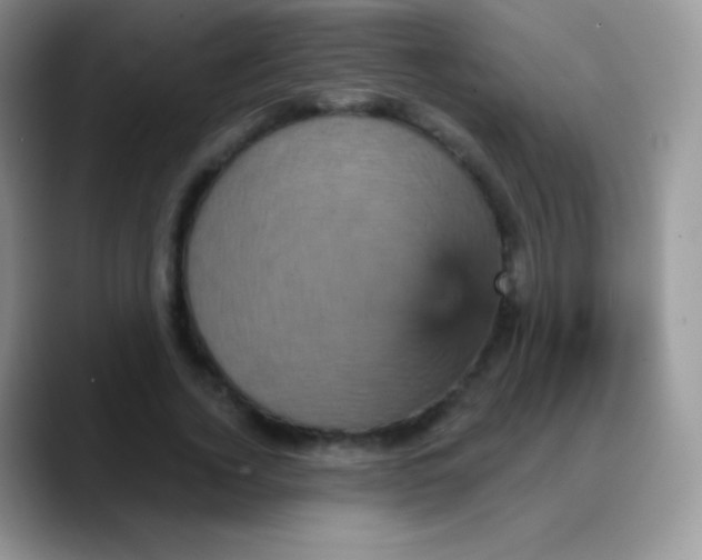 X0000088200732200705292032