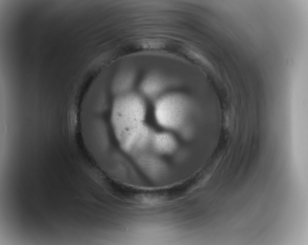 X0000088200733200705292032