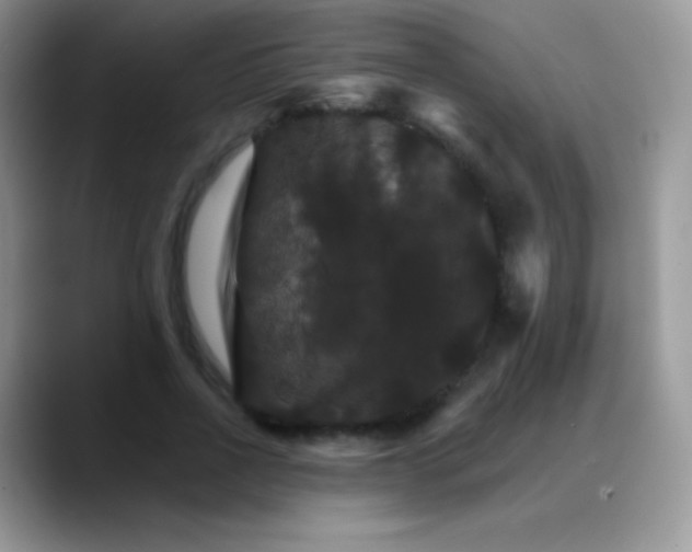 X0000088200734200705292032