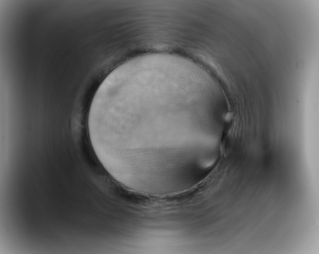 X0000088200736200705292032