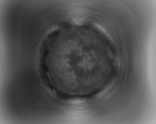 X0000088200738200705292032