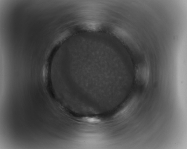 X0000088200739200705292032