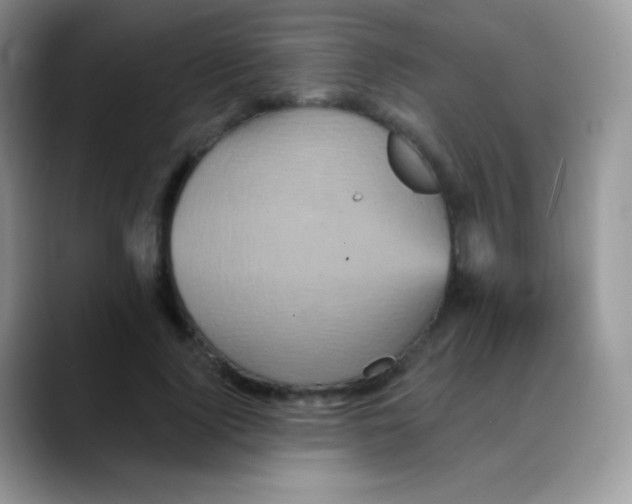 X0000088200740200705292032