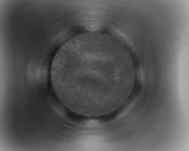 X0000088200741200705292032