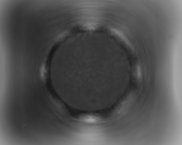 X0000088200743200705292032