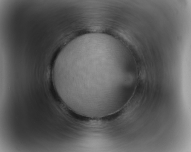 X0000088200744200705292032