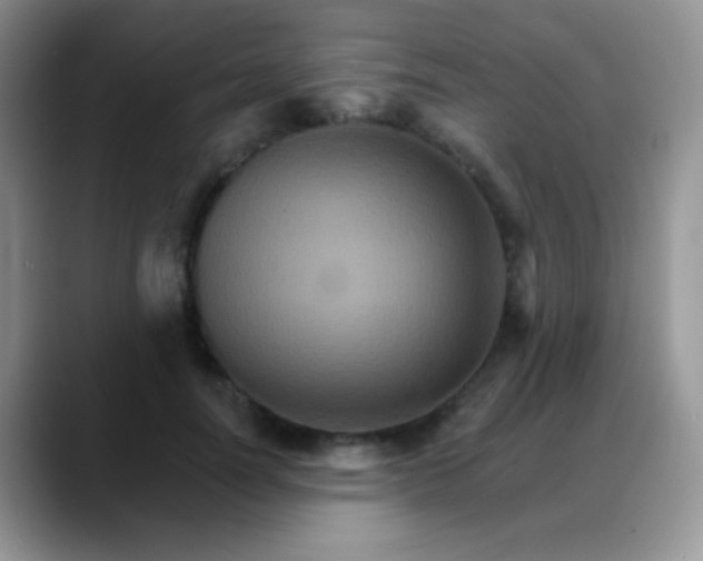 X0000088200746200705292032