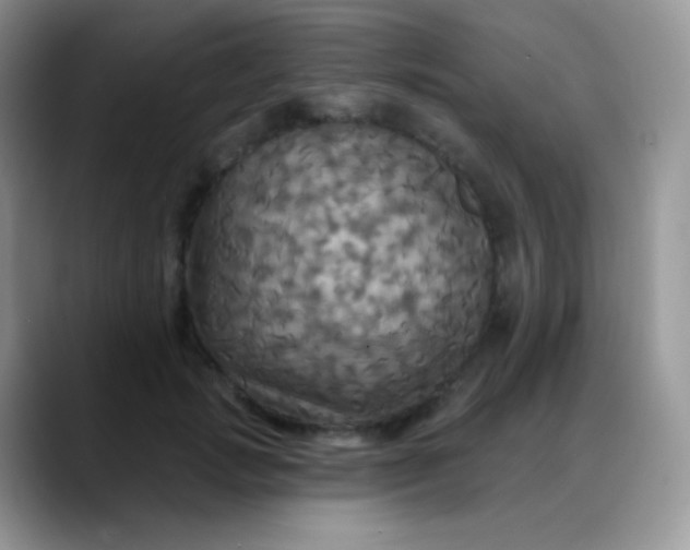 X0000088200749200705292032