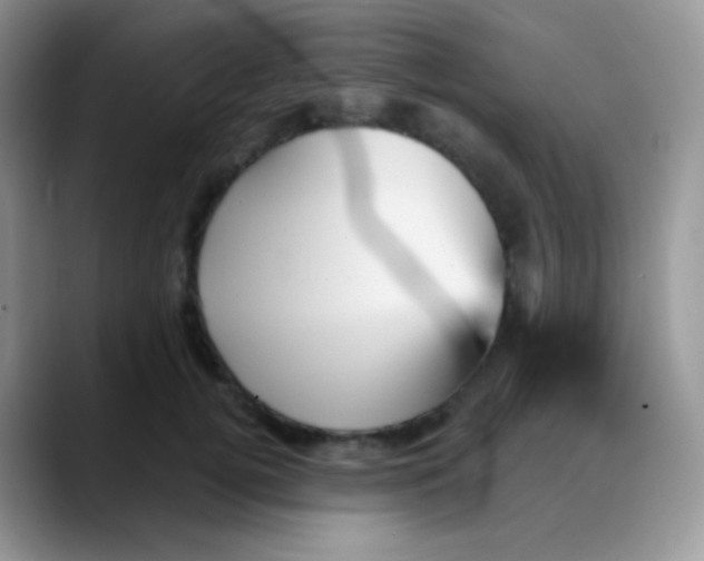 X0000088200752200705292032