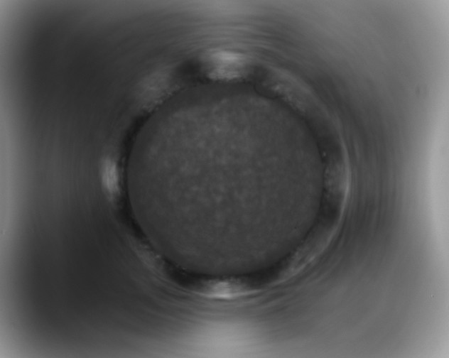 X0000088200755200705292032