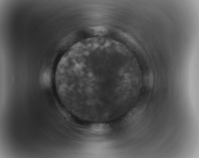 X0000088200757200705292032