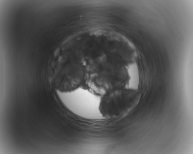 X0000088200761200705292032