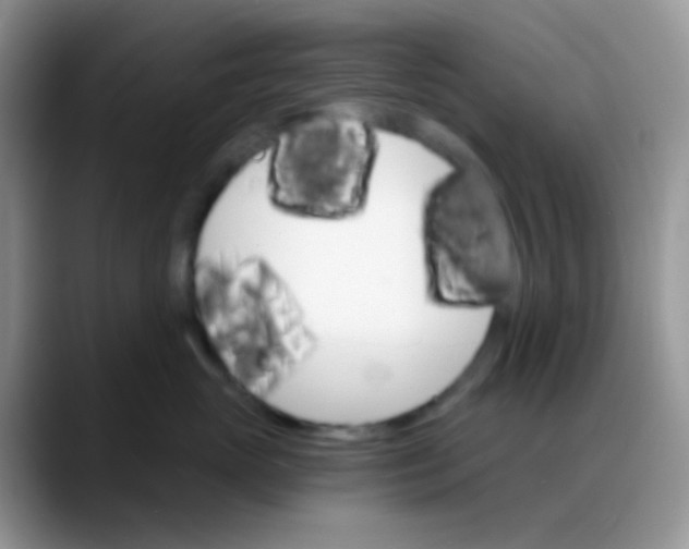 X0000088200765200705292032