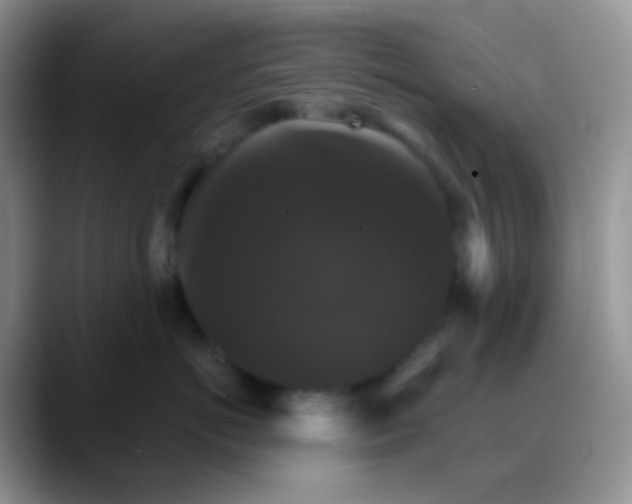 X0000088200766200705292032