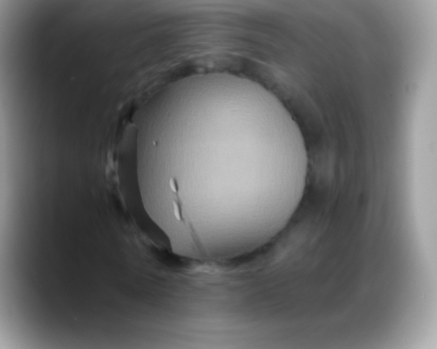 X0000088200770200705292032