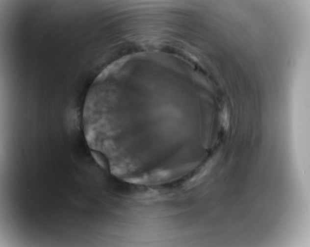 X0000088200772200705292032