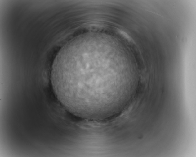 X0000088200774200705292032