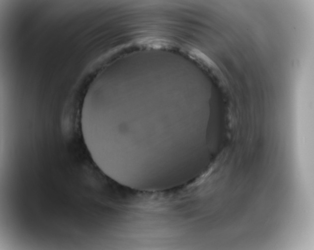 X0000088200775200705292032