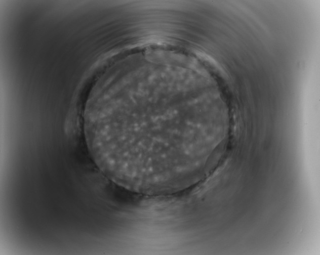 X0000088200776200705292032