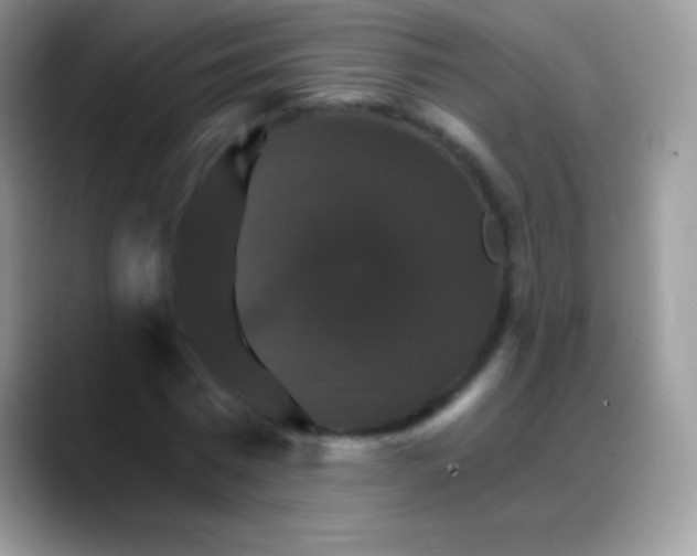 X0000088200777200705292032