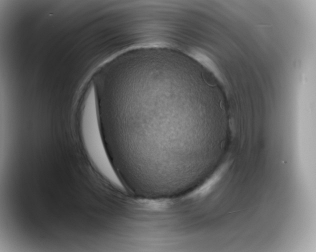 X0000088200781200705292032