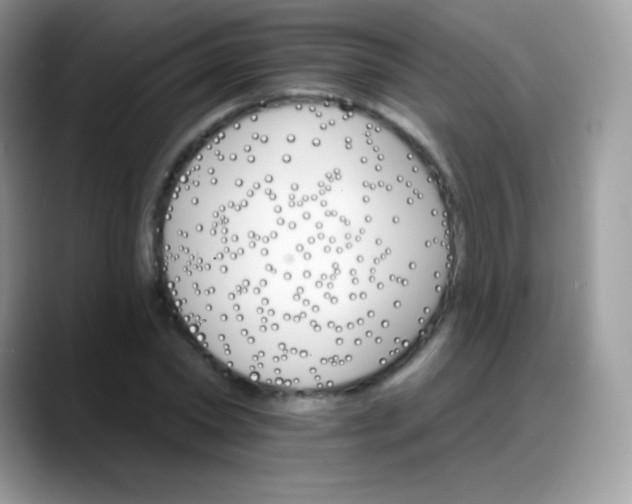 X0000088200782200705292032