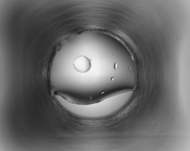 X0000088200785200705292032