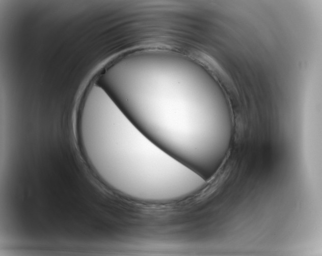 X0000088200788200705292031