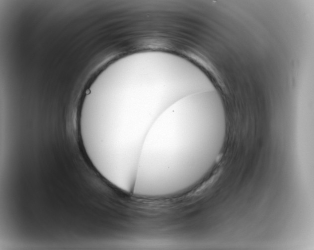 X0000088200790200705292031
