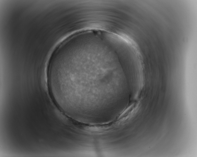 X0000088200792200705292031