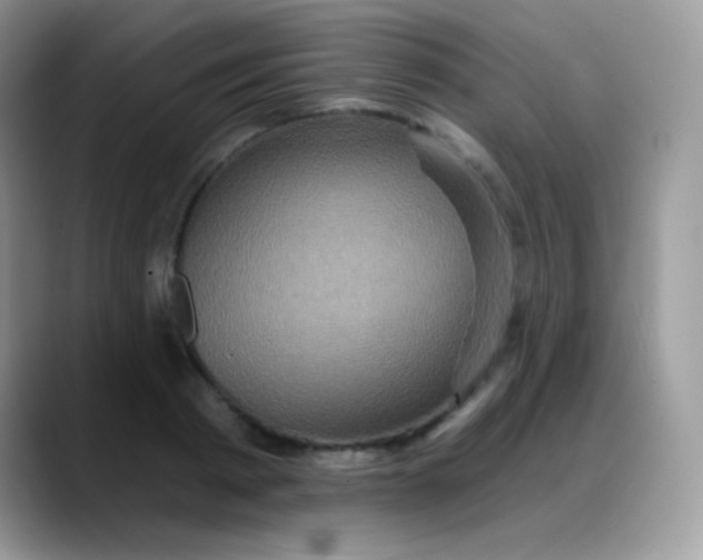 X0000088200793200705292031