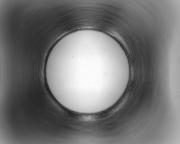 X0000088200794200705292031
