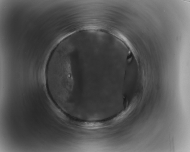 X0000088200795200705292031