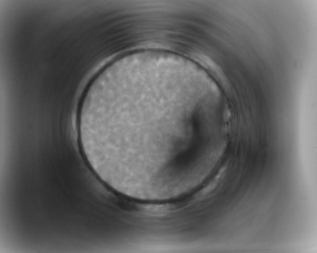 X0000088200796200705292031