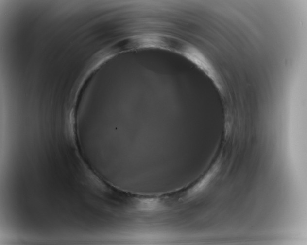 X0000088200798200705292031