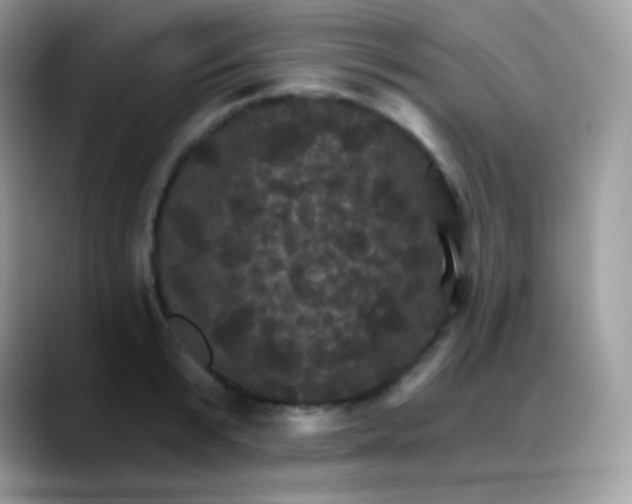 X0000088200799200705292031