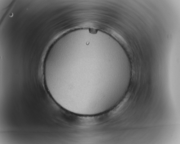 X0000088200800200705292031