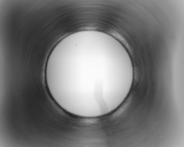 X0000088200802200705292031