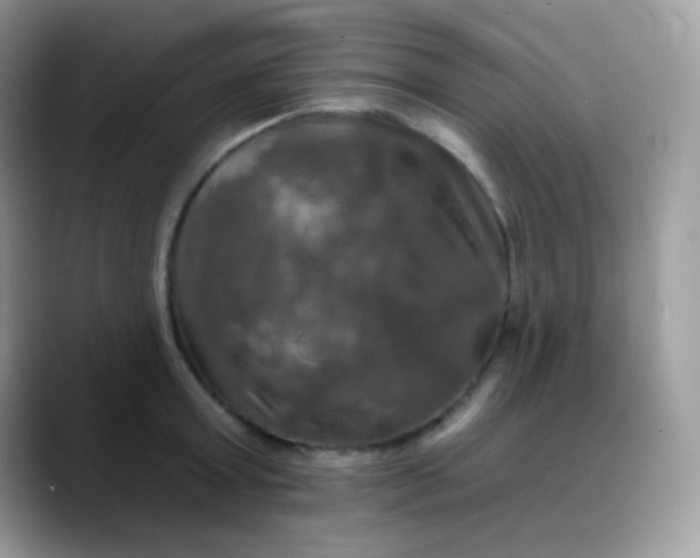 X0000088200803200705292031