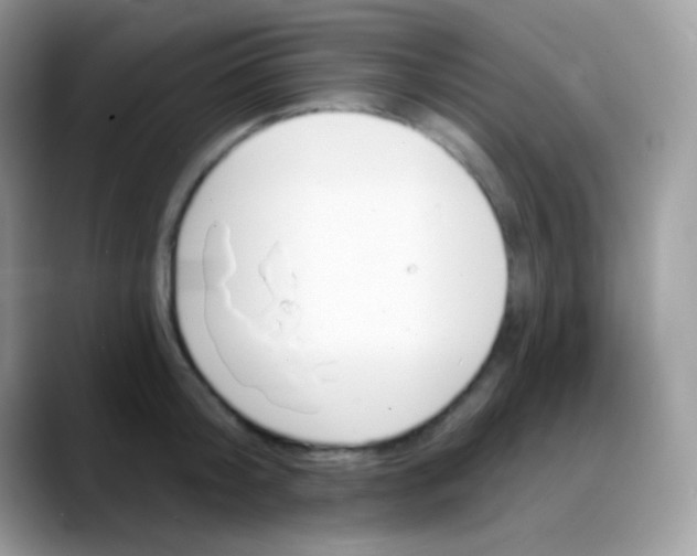 X0000088200804200705292031