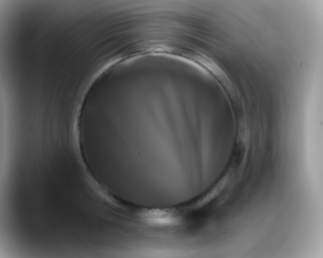 X0000088200806200705292031