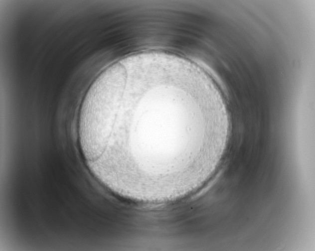 X0000088200810200705292031