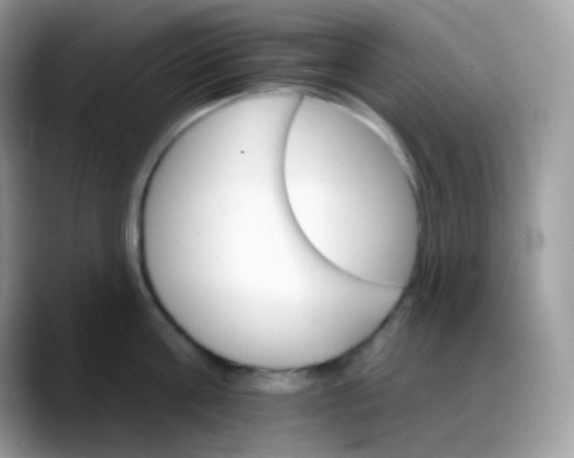 X0000088200811200705292031