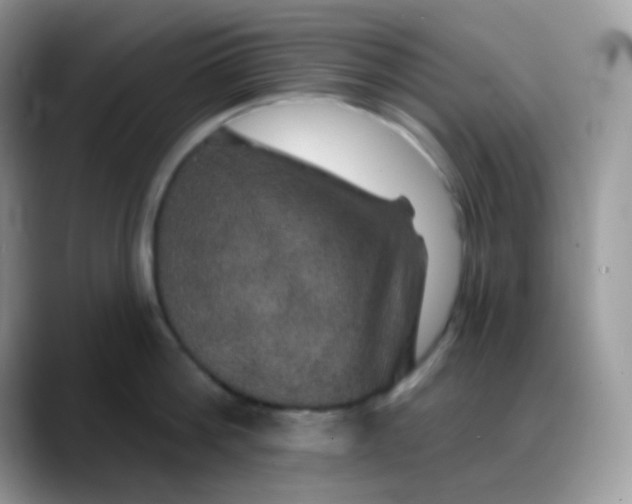 X0000088200812200705292031