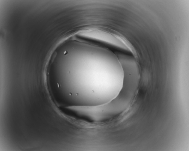 X0000088200813200705292031