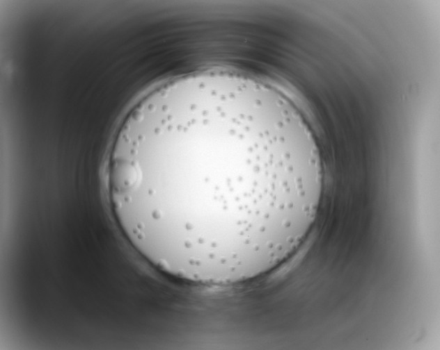 X0000088200814200705292031