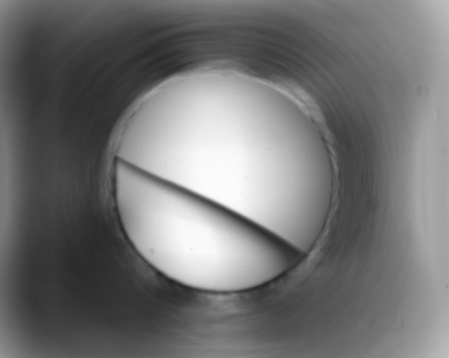 X0000088200816200705292031